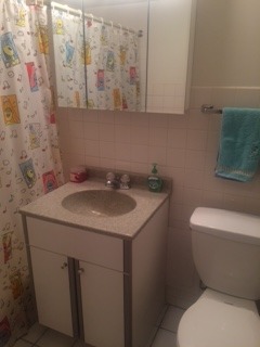 501 E Prospect Ave #3M, Mount Prospect, IL 60056 photo 6