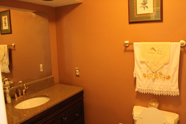 155 Pleasant St, Hoffman Estates, IL 60169 photo 17