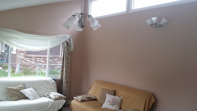 155 Pleasant St, Hoffman Estates, IL 60169 photo 16
