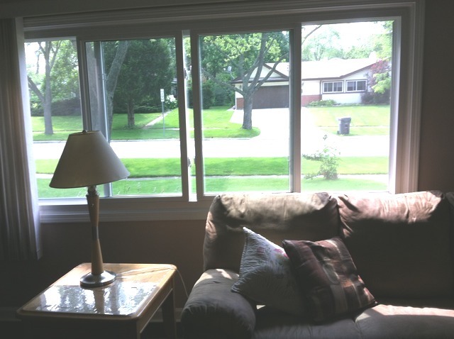 155 Pleasant St, Hoffman Estates, IL 60169 photo 3