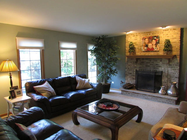 2407 Monterey Dr, Plainfield, IL 60586 photo 9