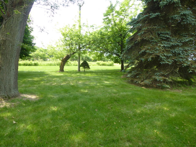 685 Saddle Ln, Aurora, IL 60505 photo 20