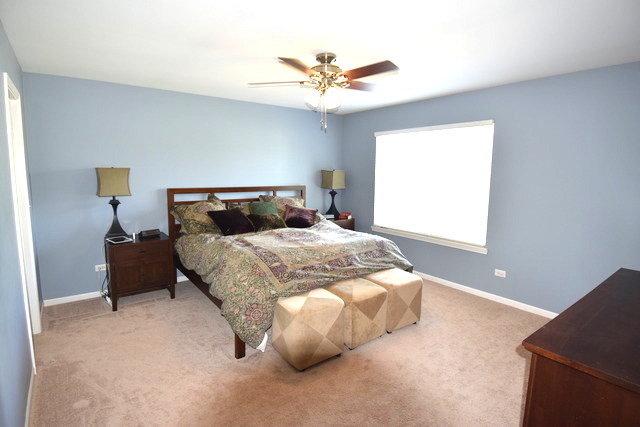 2706 Oasis Dr, Plainfield, IL 60586 photo 9