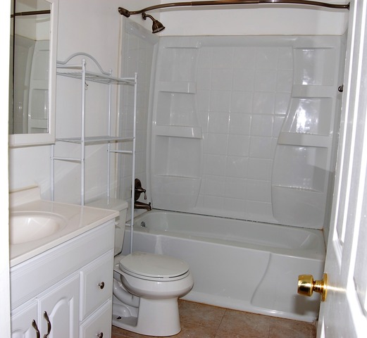 306 Mansfield Ct, Bartlett, IL 60103 photo 9