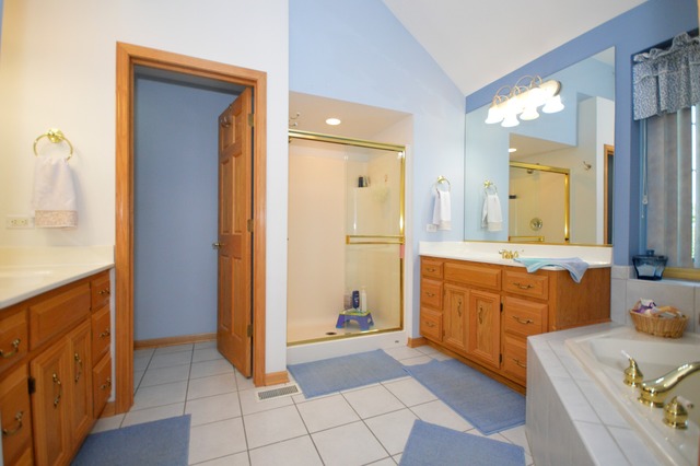 24262 Farmstead Ln, Plainfield, IL 60544 photo 14