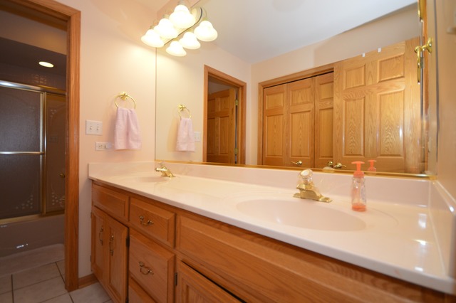 24262 Farmstead Ln, Plainfield, IL 60544 photo 18