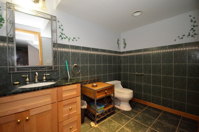 24262 Farmstead Ln, Plainfield, IL 60544 photo 22