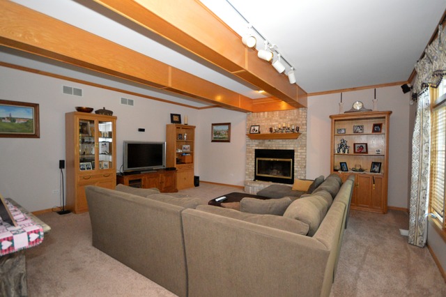 24262 Farmstead Ln, Plainfield, IL 60544 photo 10
