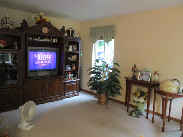 13735 S Parkfalls Ct, Plainfield, IL 60544 photo 6