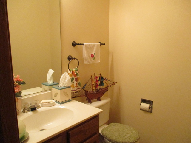 13735 S Parkfalls Ct, Plainfield, IL 60544 photo 7