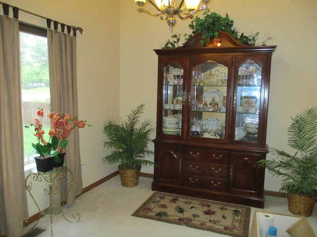 13735 S Parkfalls Ct, Plainfield, IL 60544 photo 3