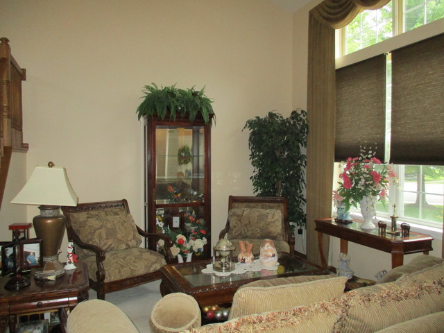 13735 S Parkfalls Ct, Plainfield, IL 60544 photo 2