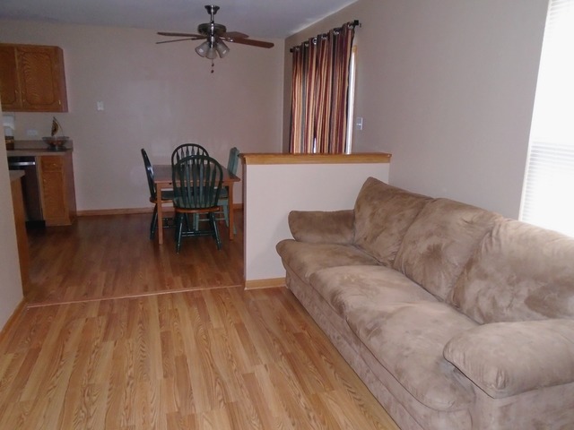 4611 Osprey Ln, Plainfield, IL 60586 photo 8