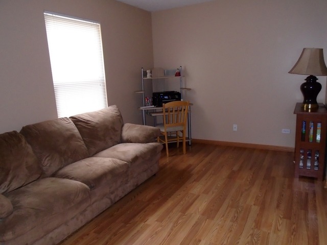 4611 Osprey Ln, Plainfield, IL 60586 photo 7