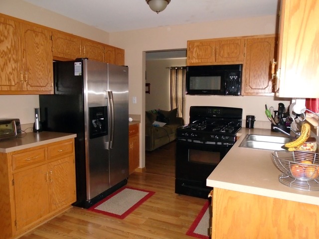 4611 Osprey Ln, Plainfield, IL 60586 photo 4