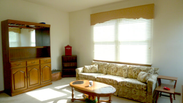 13752 S Hickory Ln, Plainfield, IL 60544 photo 6