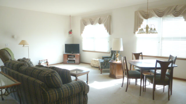 13752 S Hickory Ln, Plainfield, IL 60544 photo 3