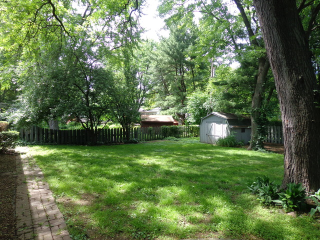 313 E 11th Ave, Naperville, IL 60563 photo 19