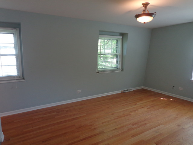 313 E 11th Ave, Naperville, IL 60563 photo 9