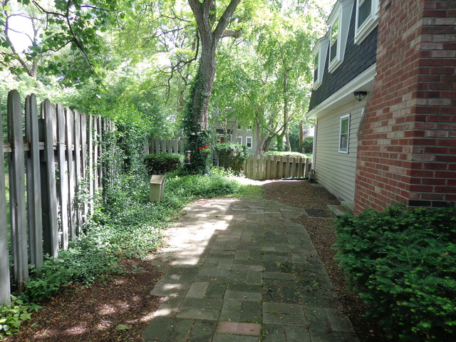 313 E 11th Ave, Naperville, IL 60563 photo 20