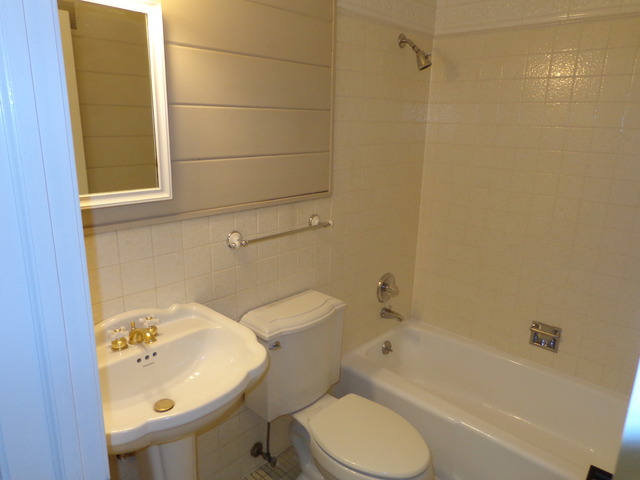313 E 11th Ave, Naperville, IL 60563 photo 16