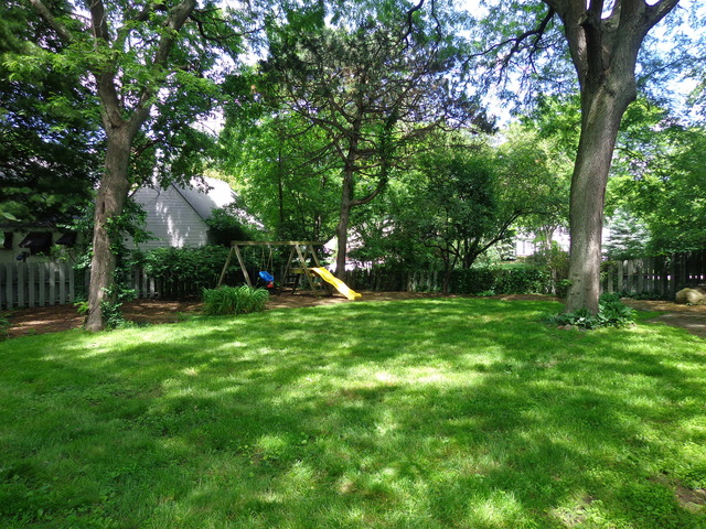 313 E 11th Ave, Naperville, IL 60563 photo 18