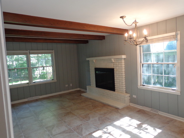 313 E 11th Ave, Naperville, IL 60563 photo 4