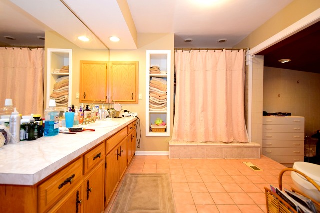 16 Forest Ave, Roselle, IL 60172 photo 12