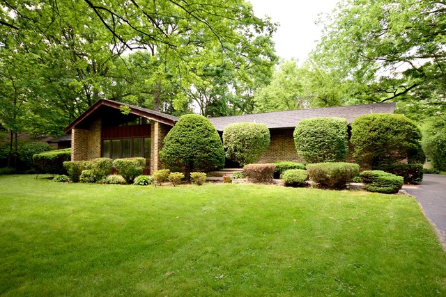 16 Forest Ave, Roselle, IL 60172 photo 1