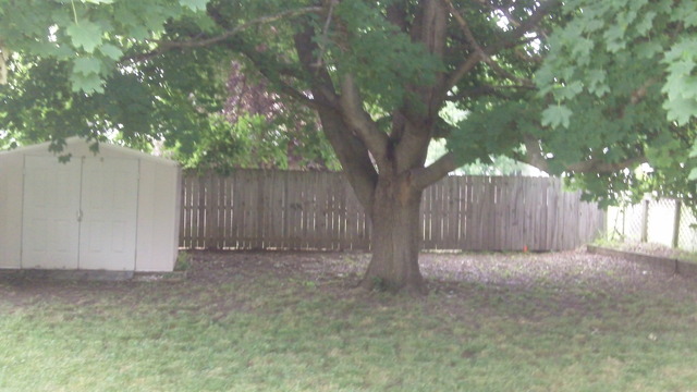 1326 Inglesh Ave, Kankakee, IL 60901 photo 2