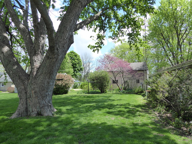 400 7th St, Mazon, IL 60444 photo 8