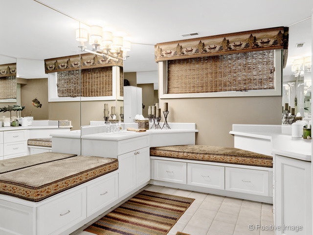 285 E Arboretum Cir, Wheaton, IL 60189 photo 23