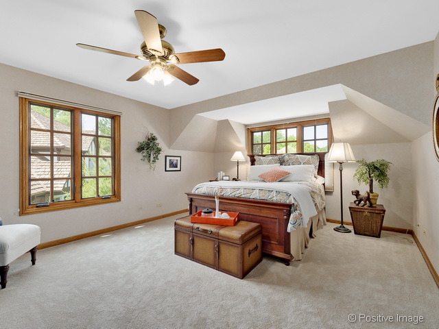285 E Arboretum Cir, Wheaton, IL 60189 photo 17