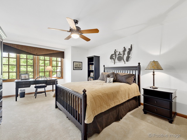 285 E Arboretum Cir, Wheaton, IL 60189 photo 15