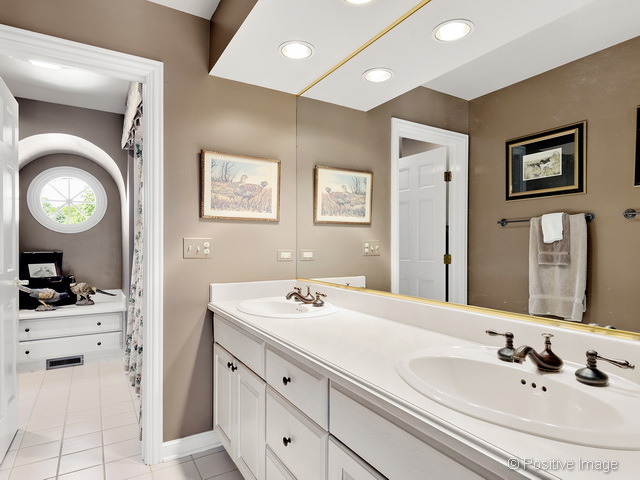 285 E Arboretum Cir, Wheaton, IL 60189 photo 18