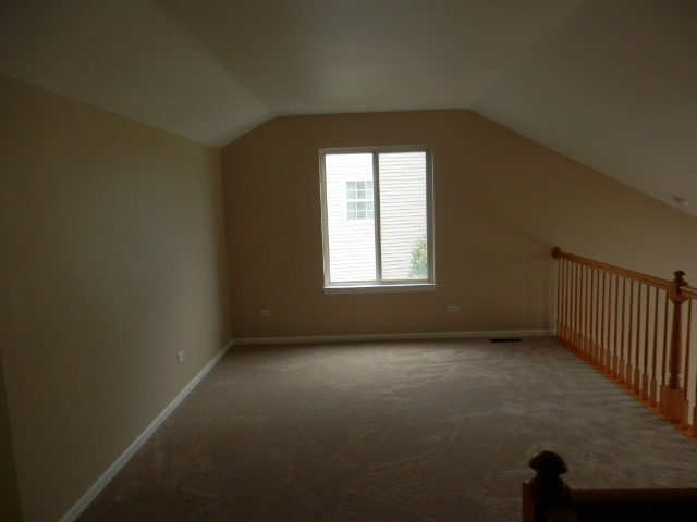 6105 Pheasant Ridge Dr, Plainfield, IL 60586 photo 13
