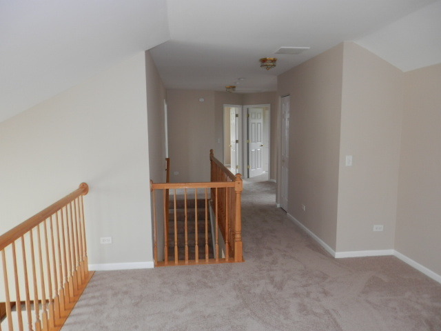6105 Pheasant Ridge Dr, Plainfield, IL 60586 photo 12