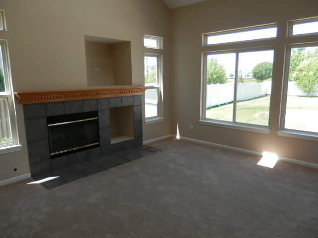 6105 Pheasant Ridge Dr, Plainfield, IL 60586 photo 5