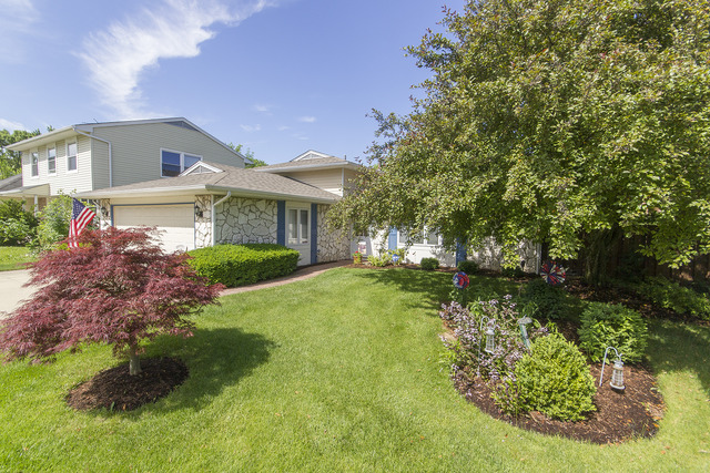 55 Joslyn Dr, Elgin, IL 60120 photo 21