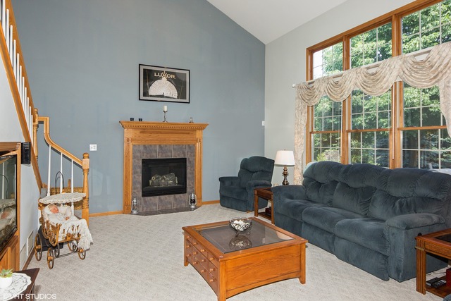 24164 Cabernet Ln, Plainfield, IL 60586 photo 9