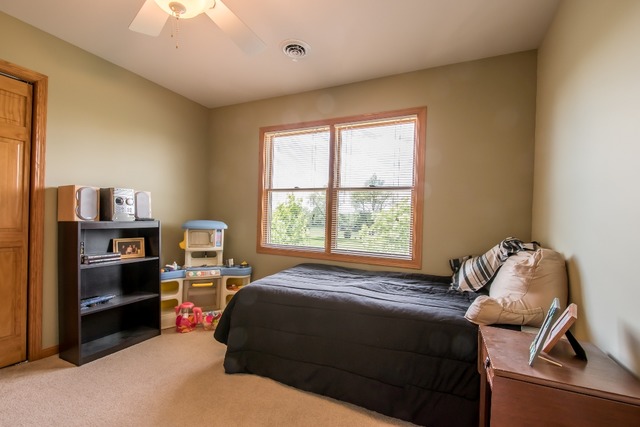 1803 Castlebar Rd, Mchenry, IL 60050 photo 16