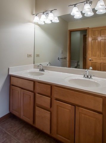 1803 Castlebar Rd, Mchenry, IL 60050 photo 18