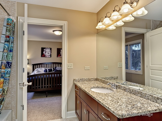 745 E Bauer Rd, Naperville, IL 60563 photo 21