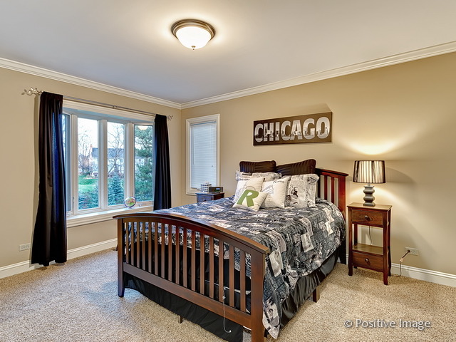 745 E Bauer Rd, Naperville, IL 60563 photo 20