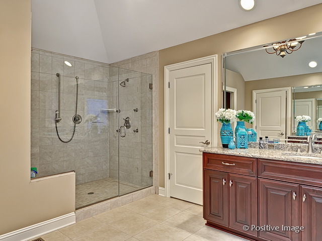 745 E Bauer Rd, Naperville, IL 60563 photo 19