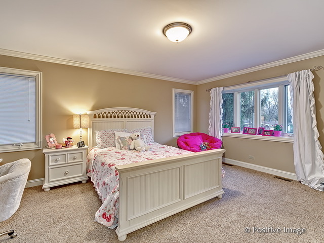 745 E Bauer Rd, Naperville, IL 60563 photo 22