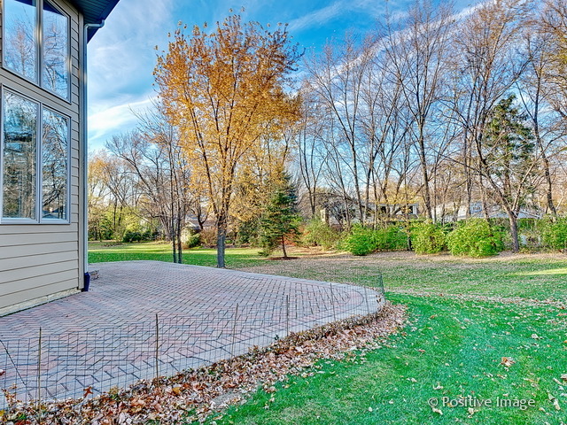 745 E Bauer Rd, Naperville, IL 60563 photo 24