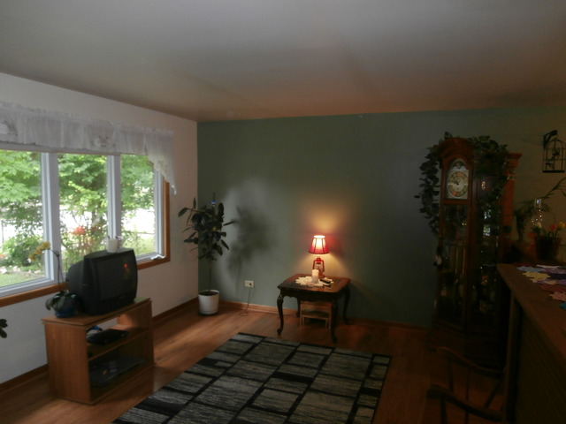 3840 148th Pl, Midlothian, IL 60445 photo 6