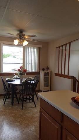 1021 Walter Ave, Des Plaines, IL 60016 photo 10