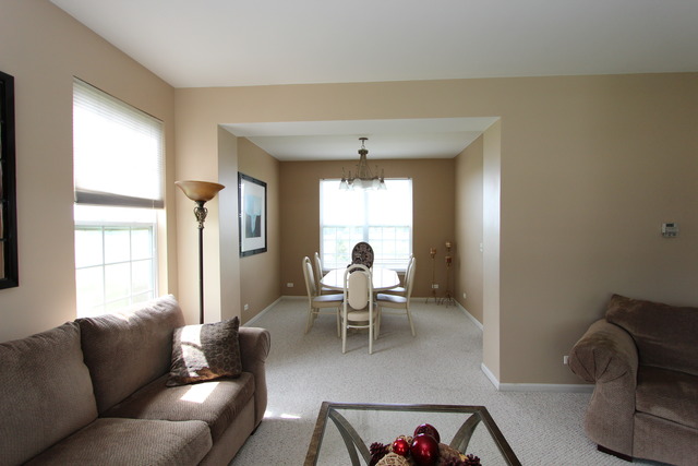 11764 S Decathalon Ln, Plainfield, IL 60585 photo 4
